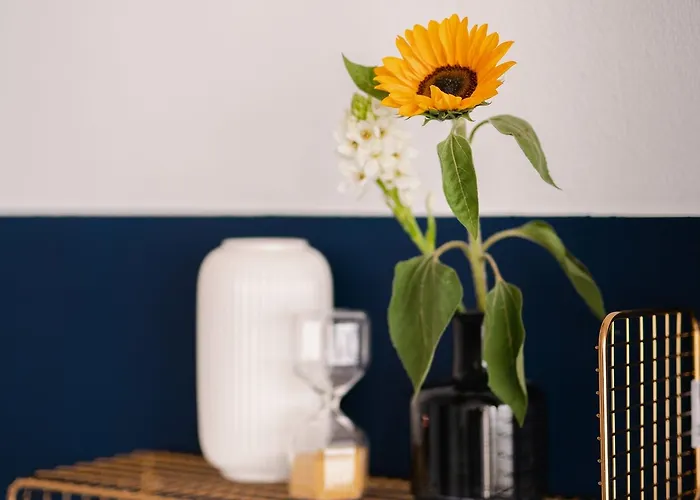 Beethoven Амстердам